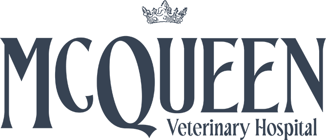 McQueen Veterinary Hospital